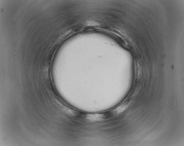 X0000069390269200606091724