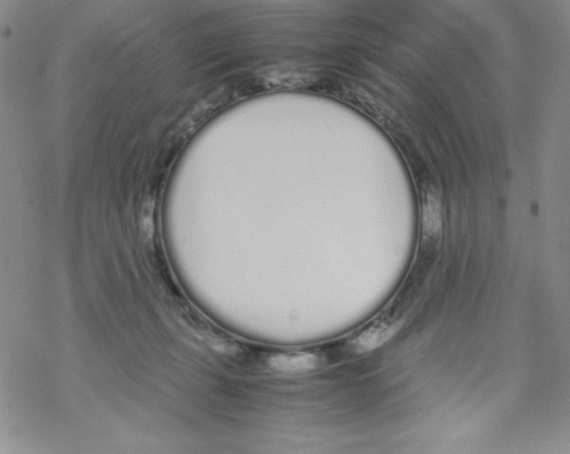 X0000069390271200606091724