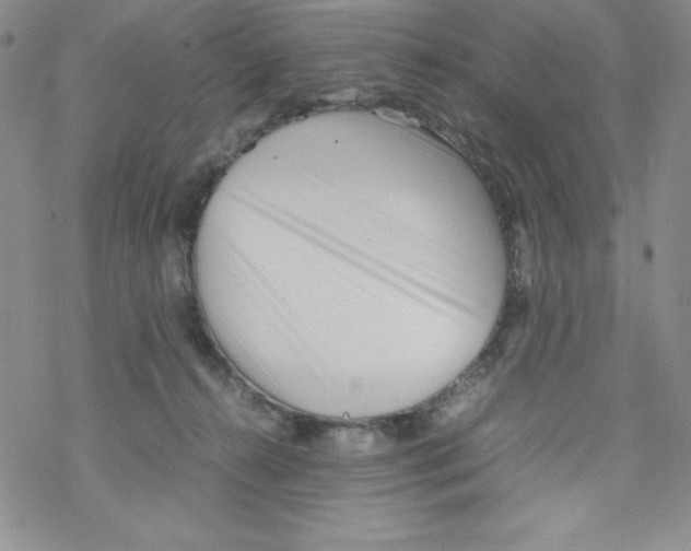 X0000069390272200606091724