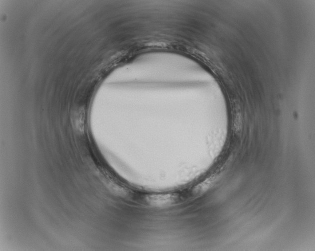 X0000069390273200606091724