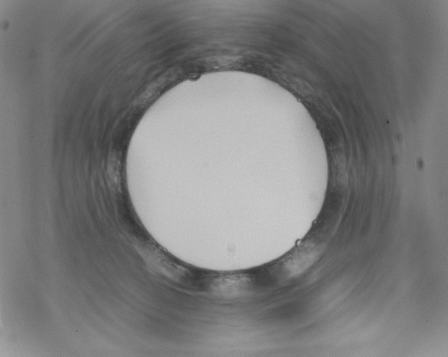 X0000069390274200606091724