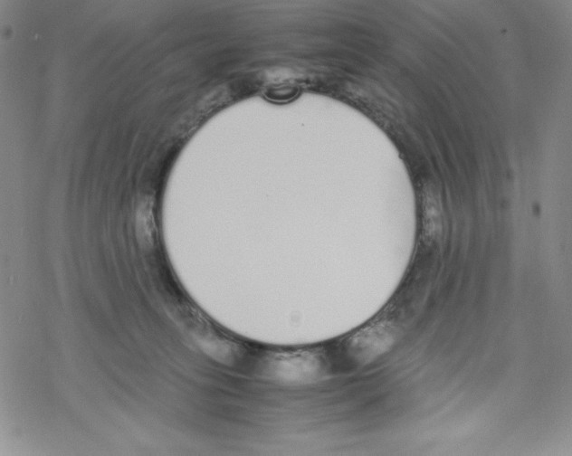 X0000069390275200606091724