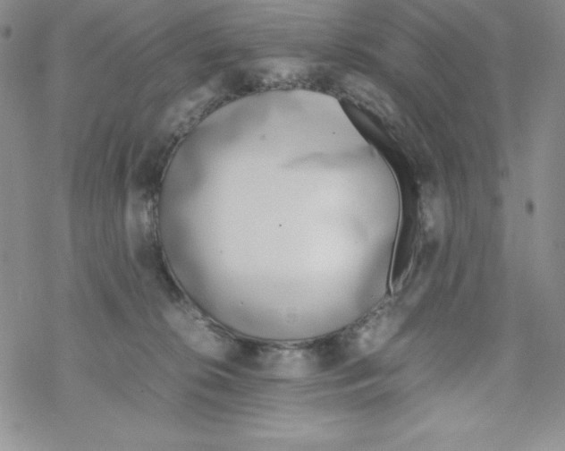 X0000069390276200606091724