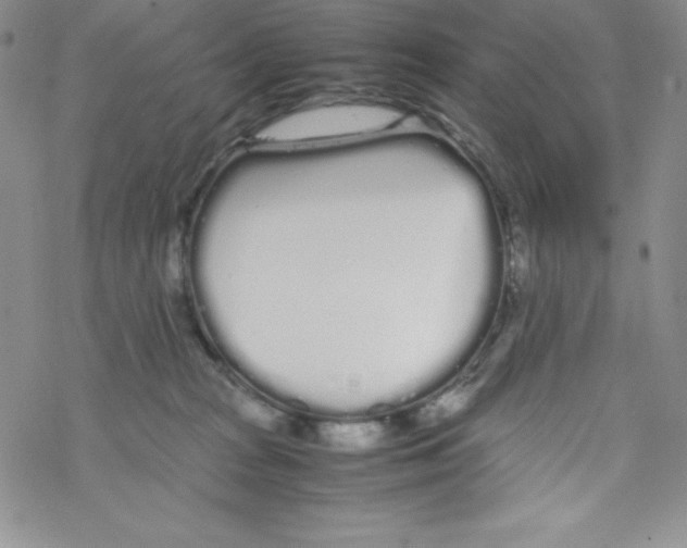 X0000069390277200606091724