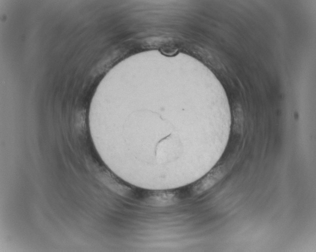 X0000069390278200606091724