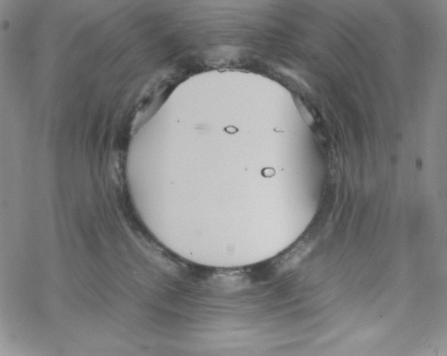 X0000069390280200606091724