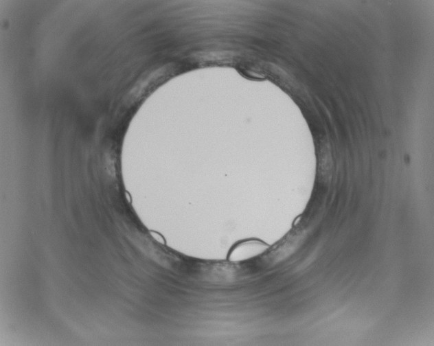 X0000069390282200606091724