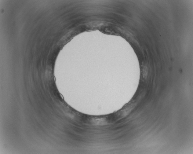 X0000069390283200606091724