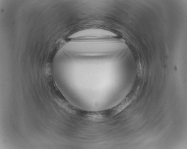 X0000069390284200606091724