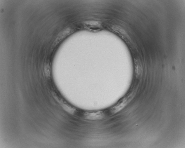 X0000069390285200606091724