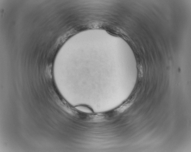 X0000069390286200606091724