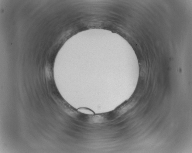 X0000069390287200606091724