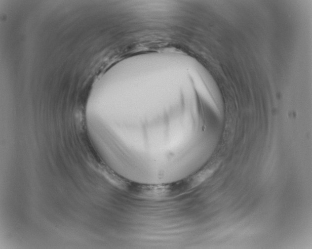 X0000069390288200606091724