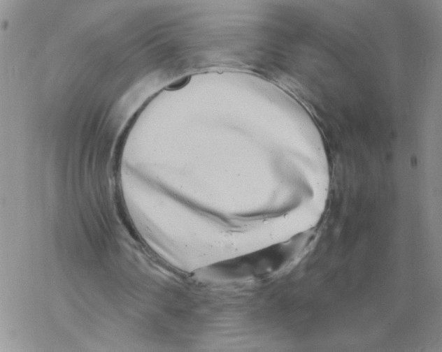 X0000069390290200606091723