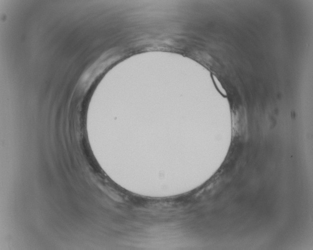 X0000069390291200606091723