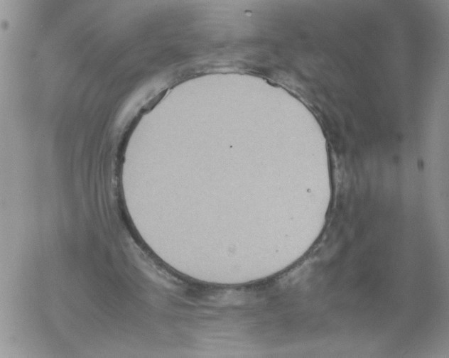 X0000069390293200606091723