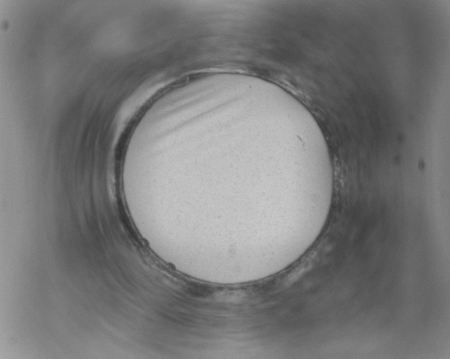 X0000069390294200606091723