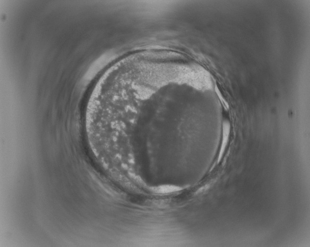 X0000069390295200606091723