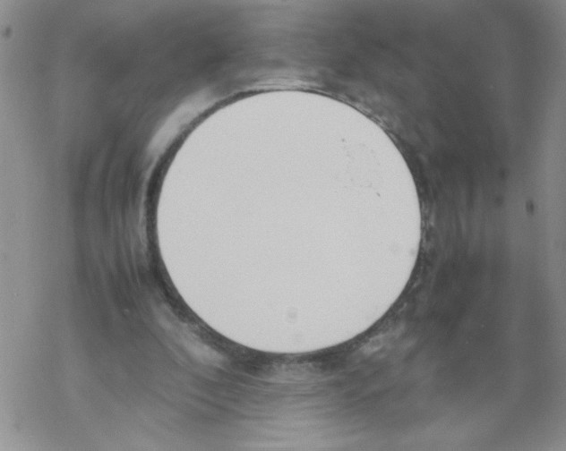 X0000069390296200606091723