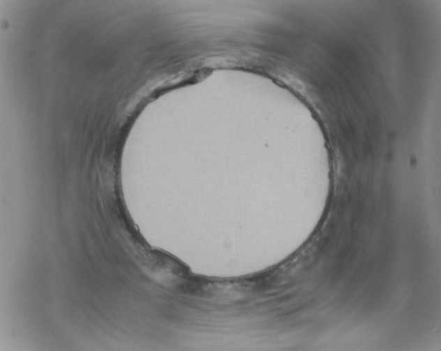 X0000069390297200606091723