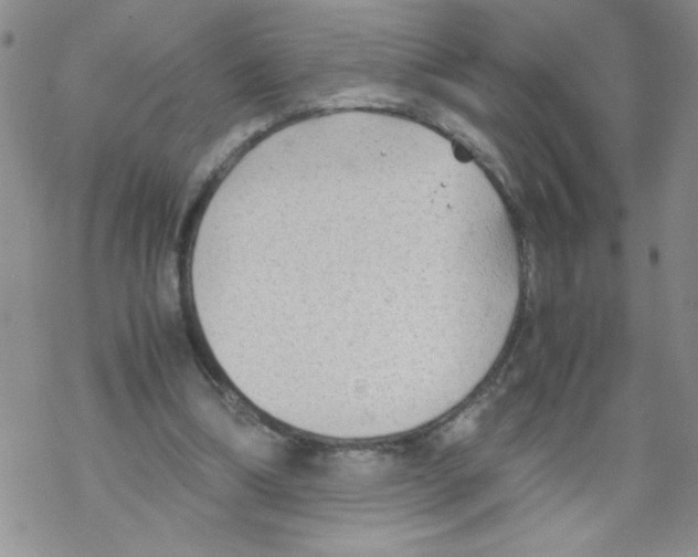 X0000069390298200606091723