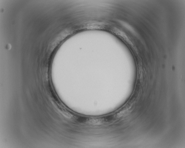 X0000069390299200606091723