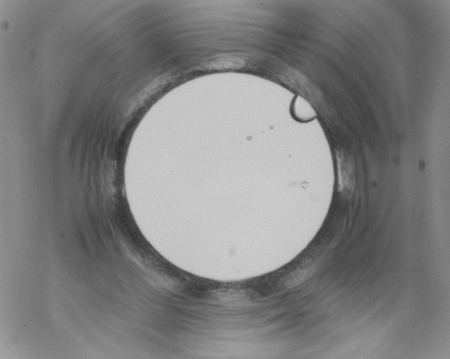 X0000069390300200606091723