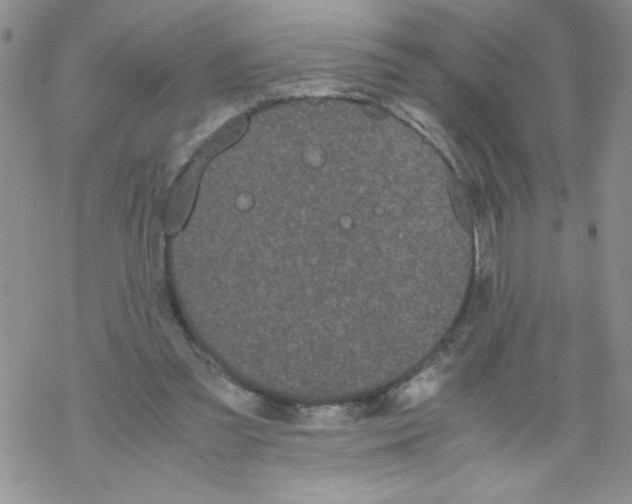 X0000069390301200606091723