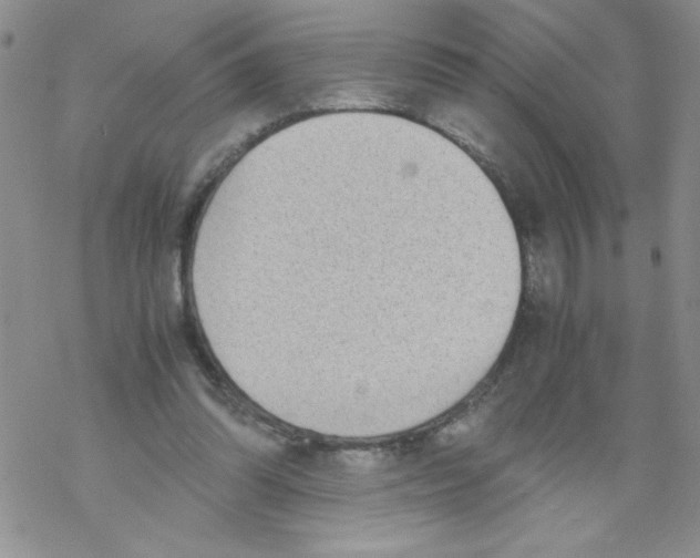 X0000069390302200606091723