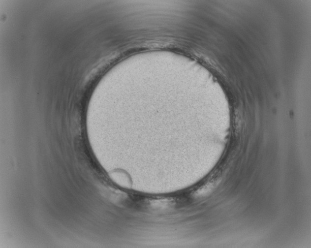 X0000069390303200606091723