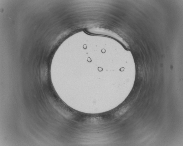 X0000069390304200606091723