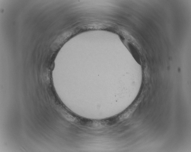 X0000069390305200606091723