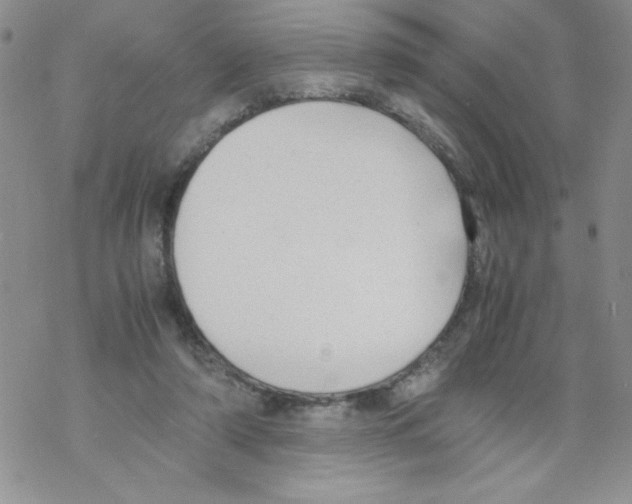 X0000069390306200606091723