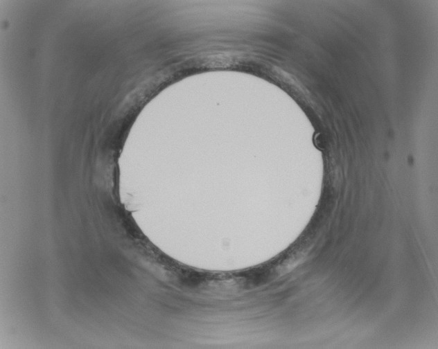 X0000069390307200606091723