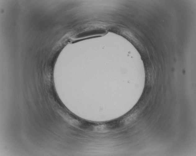 X0000069390309200606091723