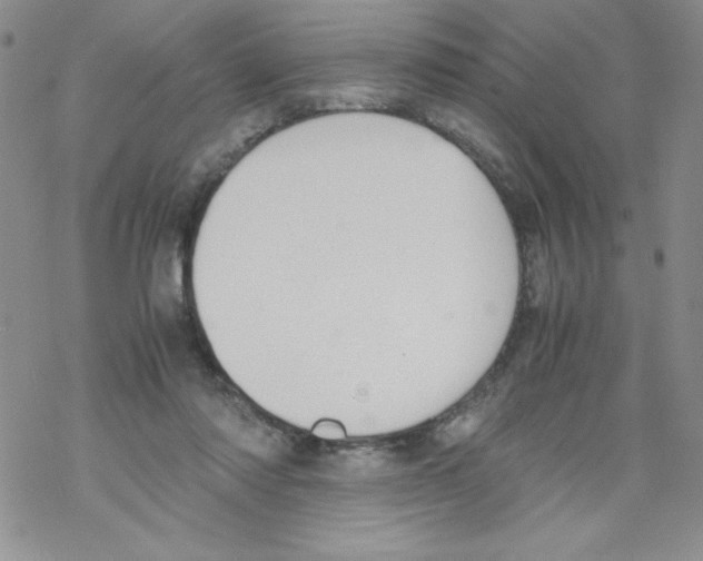 X0000069390310200606091723