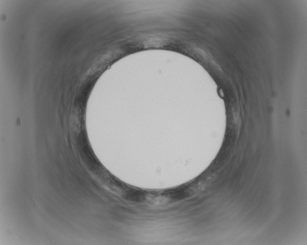 X0000069390311200606091723