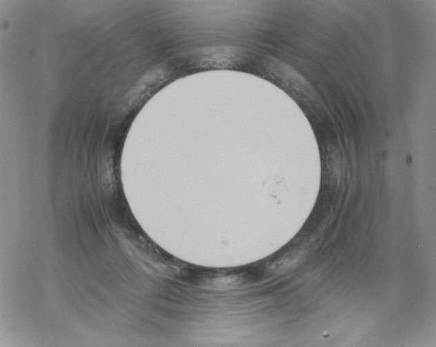 X0000069390312200606091723