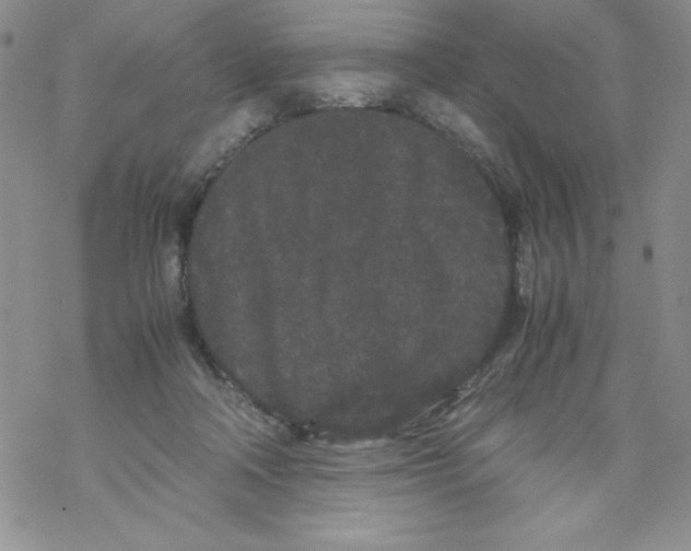 X0000069390314200606091723