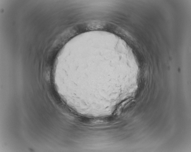 X0000069390315200606091723