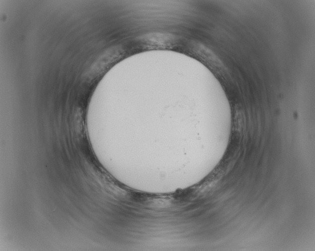 X0000069390318200606091723