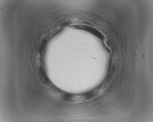 X0000069390319200606091723