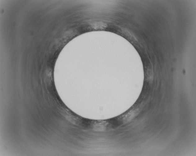 X0000069390321200606091723