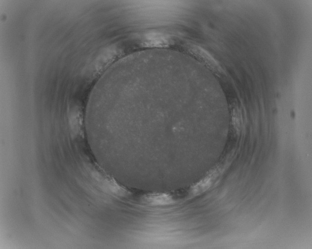 X0000069390322200606091723