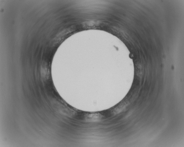 X0000069390324200606091723