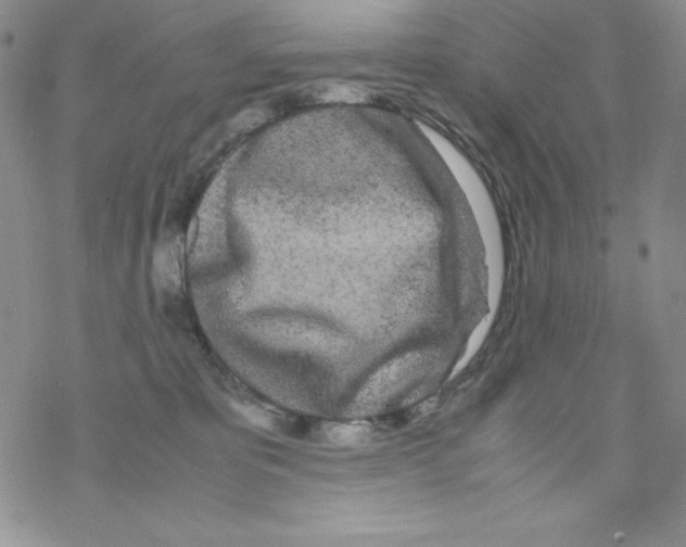 X0000069390325200606091723