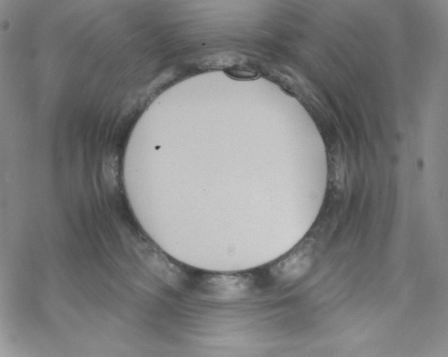 X0000069390326200606091723