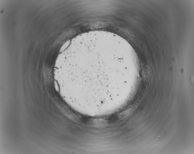 X0000069390327200606091723