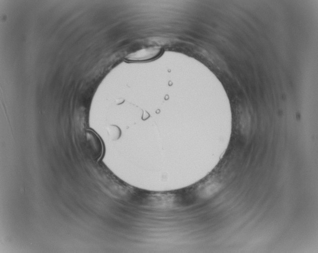 X0000069390328200606091723