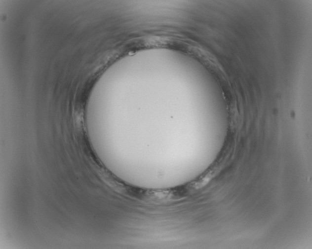 X0000069390329200606091723